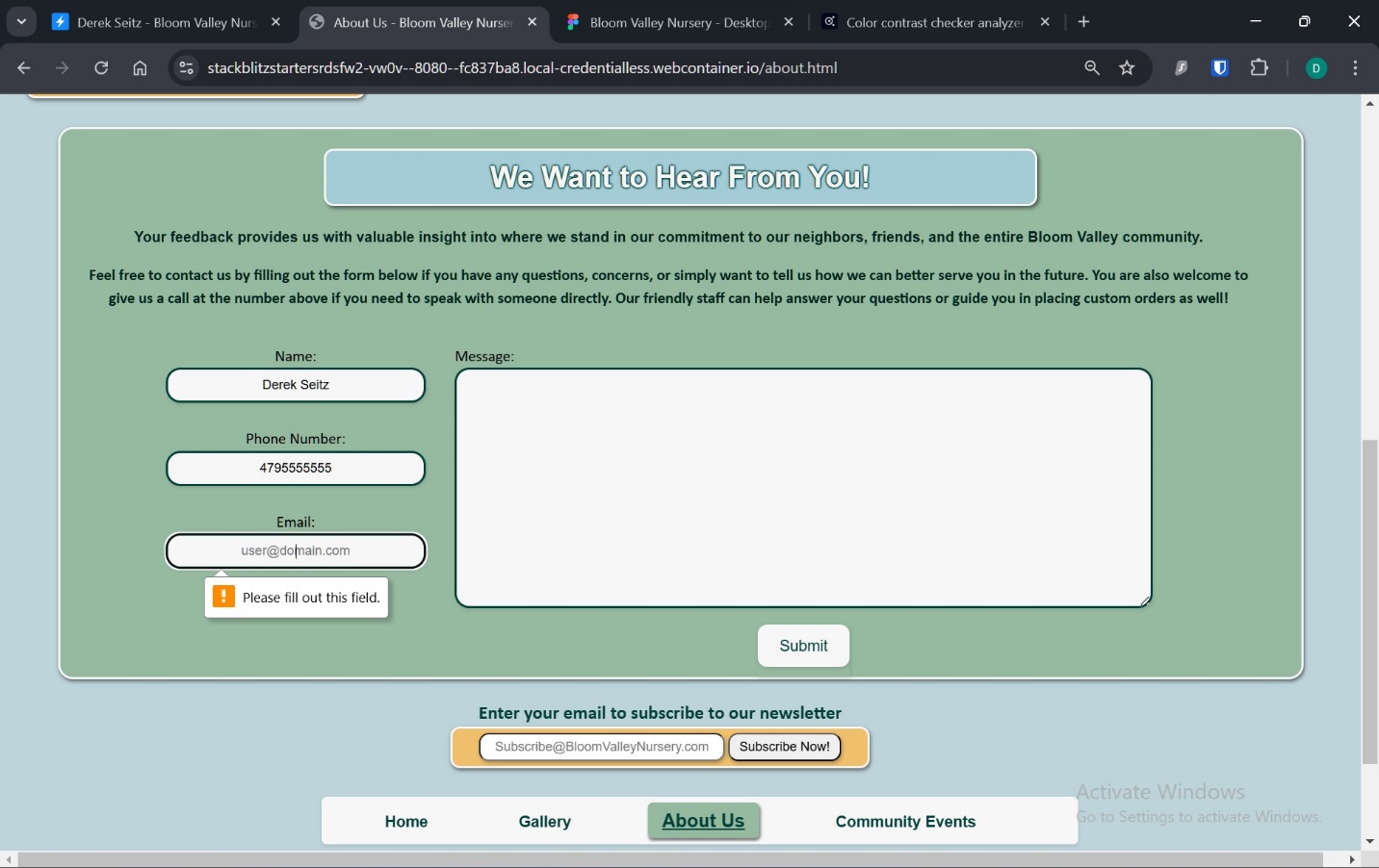 A screenshot of email input validation in feedback form