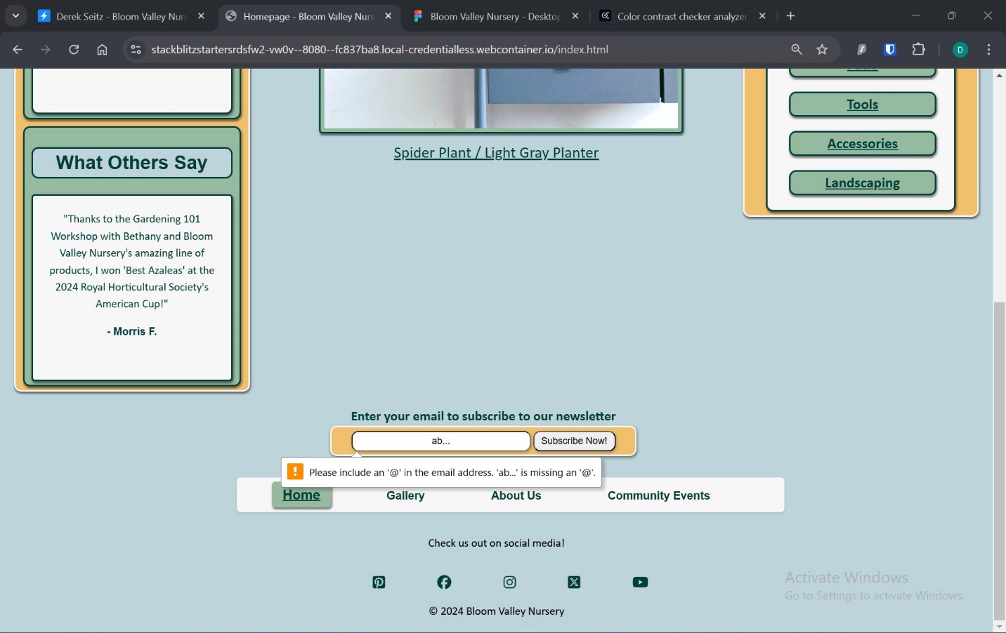 A screenshot of validation of user input in subscribe feature