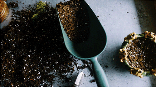 A 10 lbs bag of potting soil.