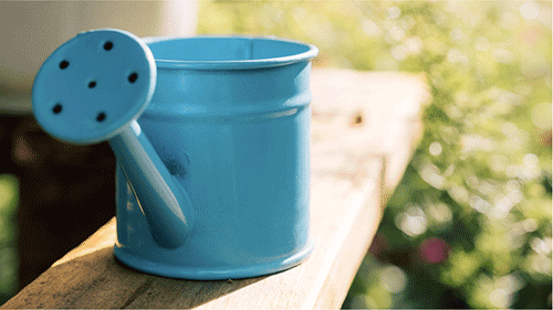 A blue painted aluminum watering can.